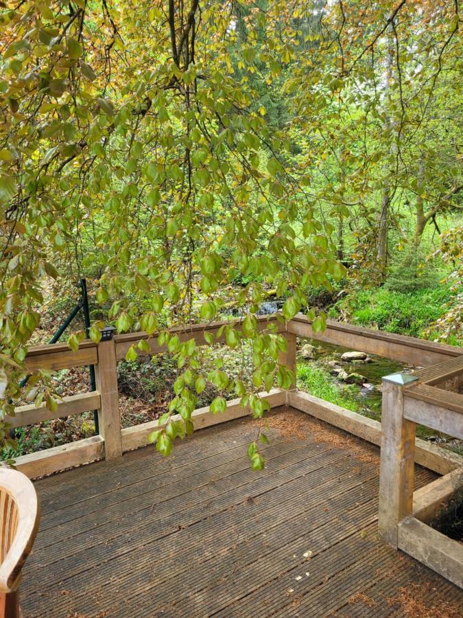 Eulennest Bis 10 Personen,Waesche,Reinigung,Parkplatz Inklusive,Kurtaxe Wird Extra Berechnet Apartment Altenau  Bagian luar foto